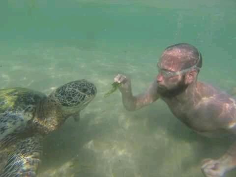 Sunset Surfing Beach Resort Matara Luaran gambar